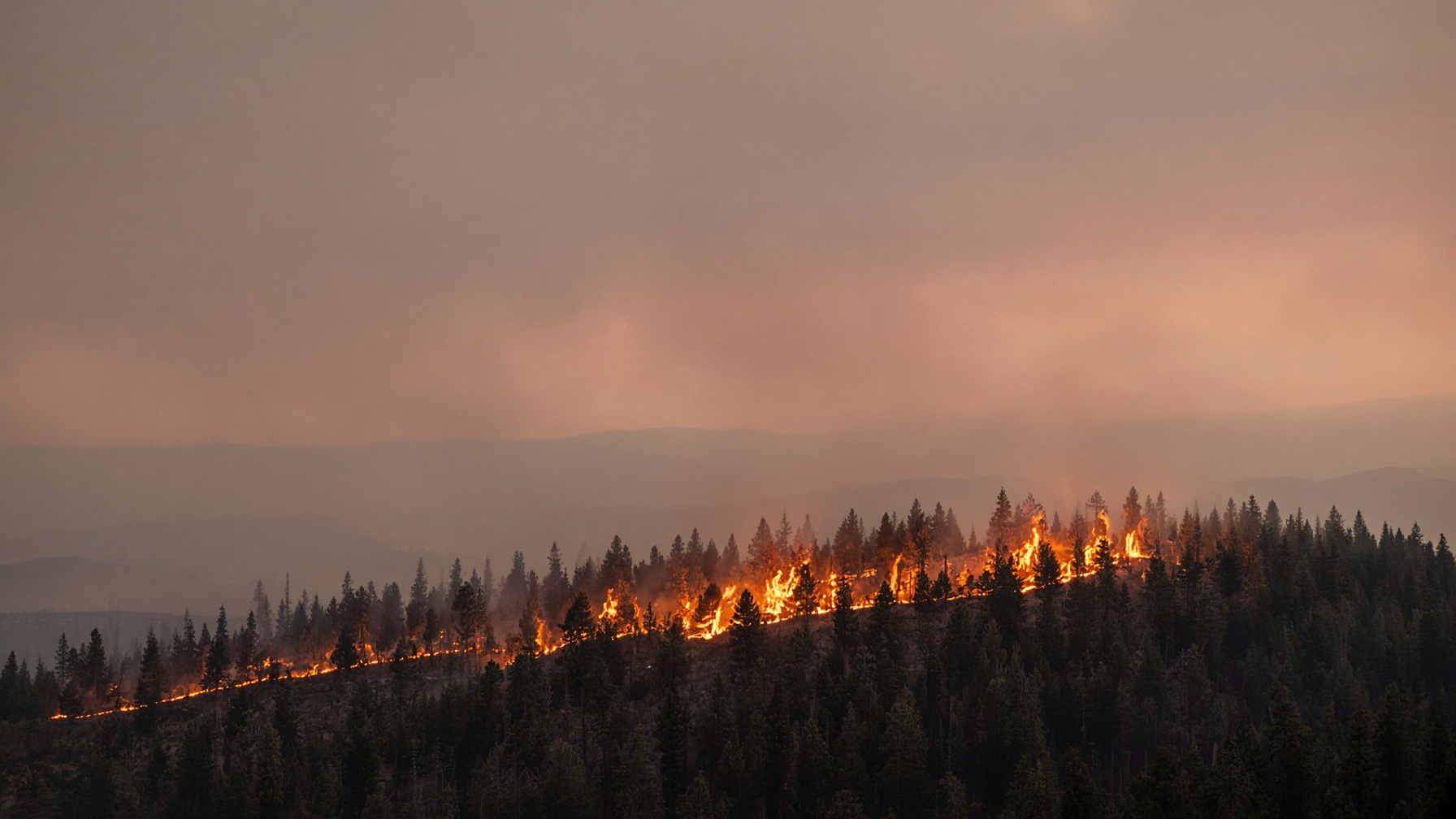 A wildland fire line along a forested ridge at dusk